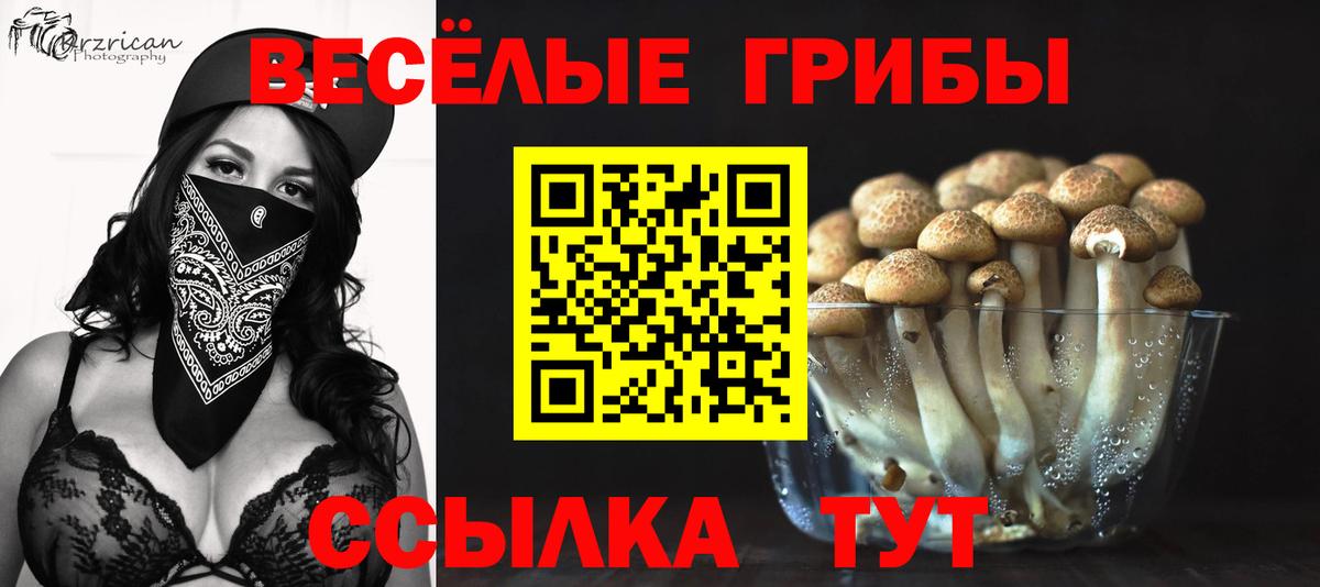 Красноармейск  наркота  Галлюциногенные грибы Cubensis  Вход с VPN  Галлюциногенные грибы ЛСД 