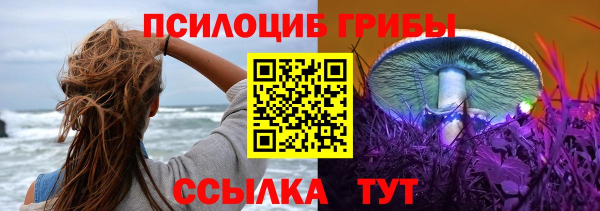 Псилоцибиновые грибы Psilocybine cubensis Красноармейск