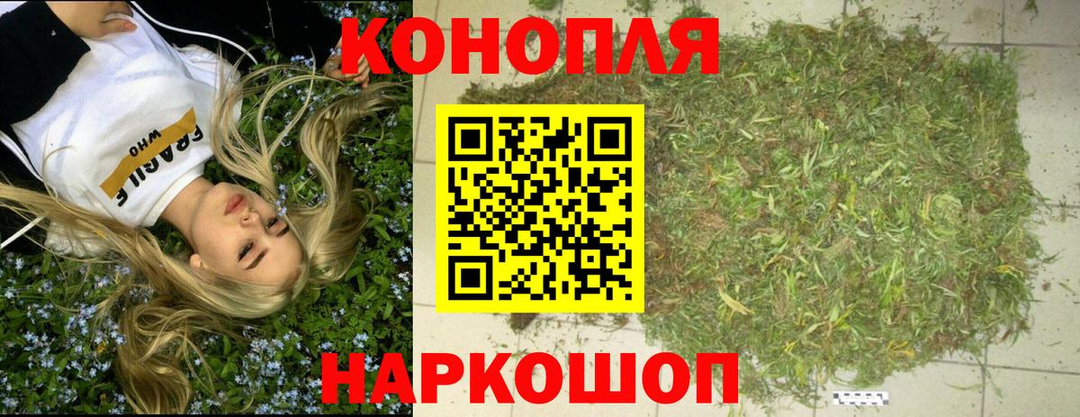 Каннабис OG Kush Красноармейск